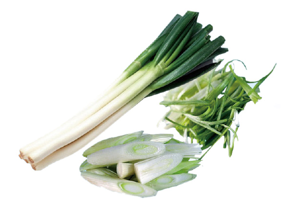 Spring Onion 